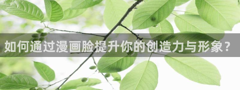 51漫画永不收费的漫画网站：如何通过漫画脸提升你的创造力与形象？
