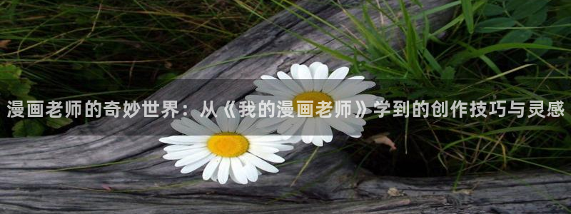 51漫画免费双男主漫画：漫画老师的奇妙世界：从《我的漫画老师》学到的创作技巧与灵感