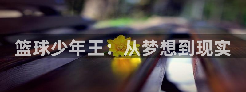 五号公寓51漫画画免费观看：篮球少年王：从梦想到现实